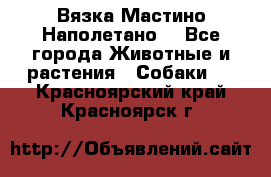 Вязка Мастино Наполетано  - Все города Животные и растения » Собаки   . Красноярский край,Красноярск г.